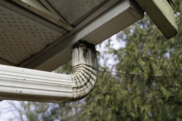 Downspout Cleaning in Port Angeles