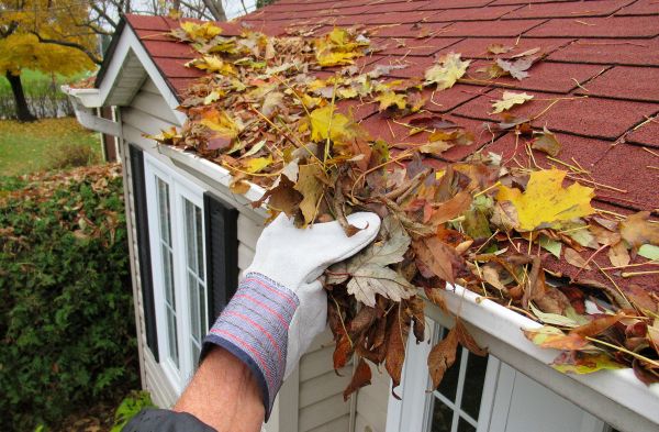 Rain Gutter Cleaning Service in Port Angeles