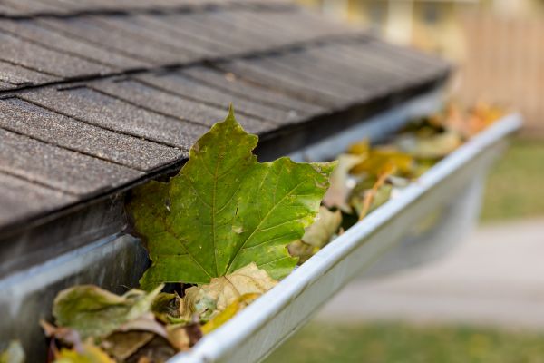 Commercial Downspout Cleaning in Port Angeles