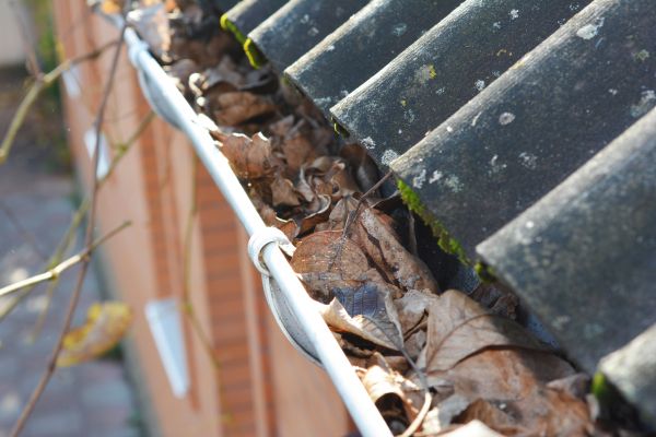 Cost of Home Gutter Cleaning in Port Angeles
