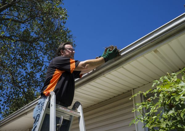 Cost of Eavestrough Clearing in Port Angeles