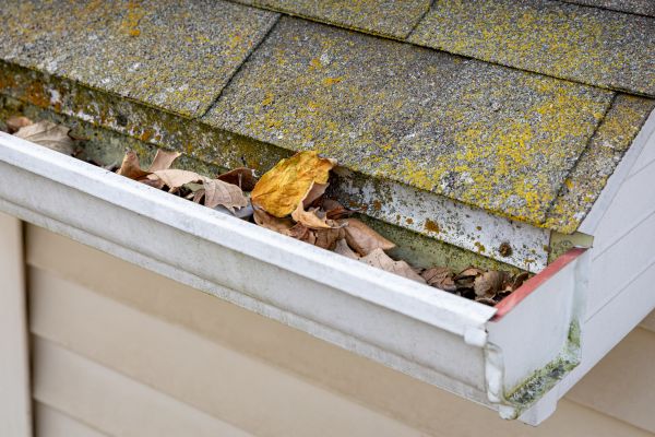 Cost of Garage Gutter Cleaning in Port Angeles