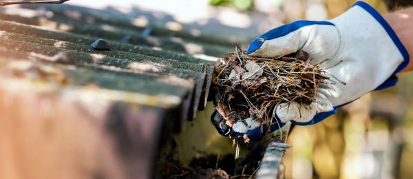 Pine Needle Gutter Cleaning in Port Angeles