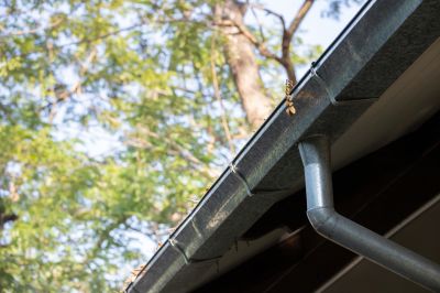 Commercial Gutter Maintenance detail