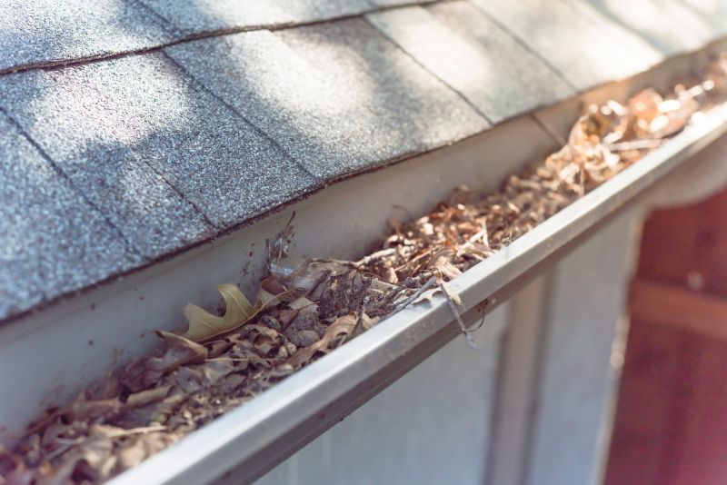 Clogged Gutter Debris