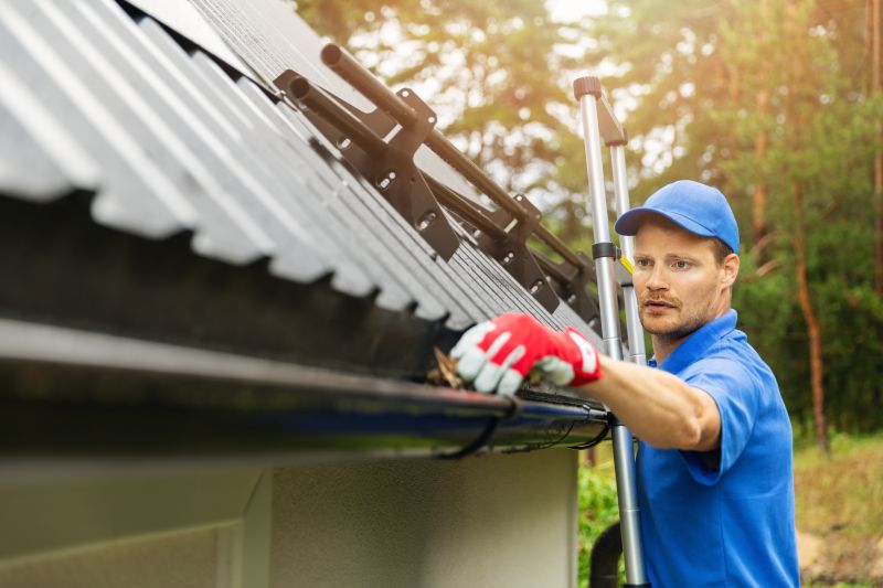 Gutter Drain Maintenance