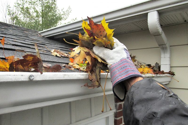 Spring Gutter Cleaning